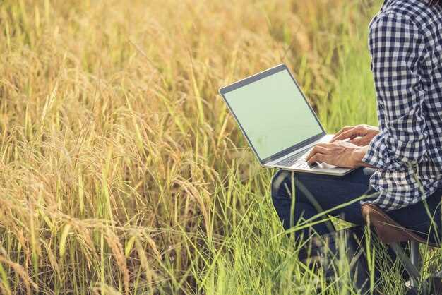 Yield Farming: как зарабатывать на DeFi?